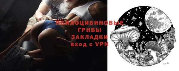 шишки Армянск