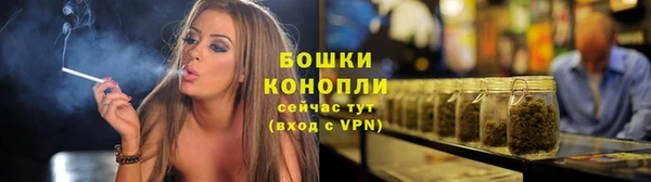 шишки Армянск