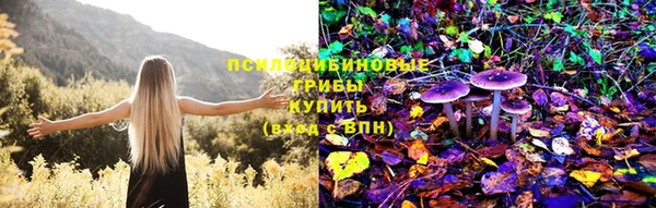 шишки Армянск