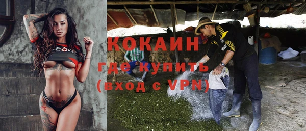 шишки Армянск