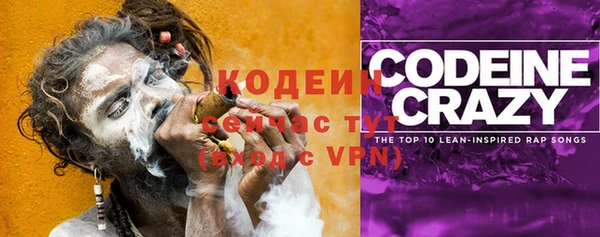 шишки Армянск
