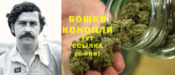 шишки Армянск