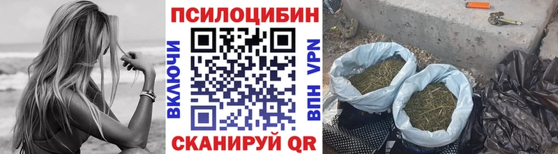 Галлюциногенные грибы Magic Shrooms  Тара 